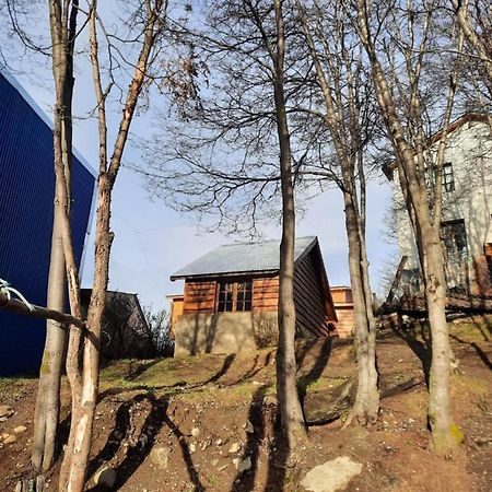 Cabana Los Morros Ушуая Екстериор снимка